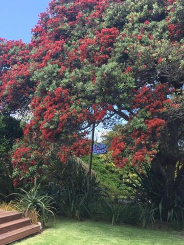 Absolute Waterfront Serenity Near Auckland Clarks Beach Esterno foto