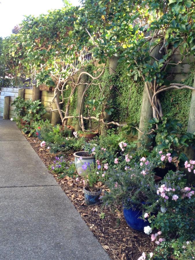 Absolute Waterfront Serenity Near Auckland Clarks Beach Esterno foto